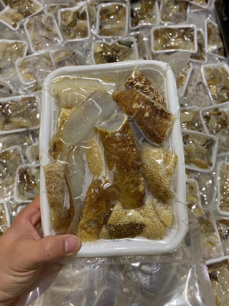 【牛商推荐】高品质厚肉，黄婆参，一手货源，可批发可零售