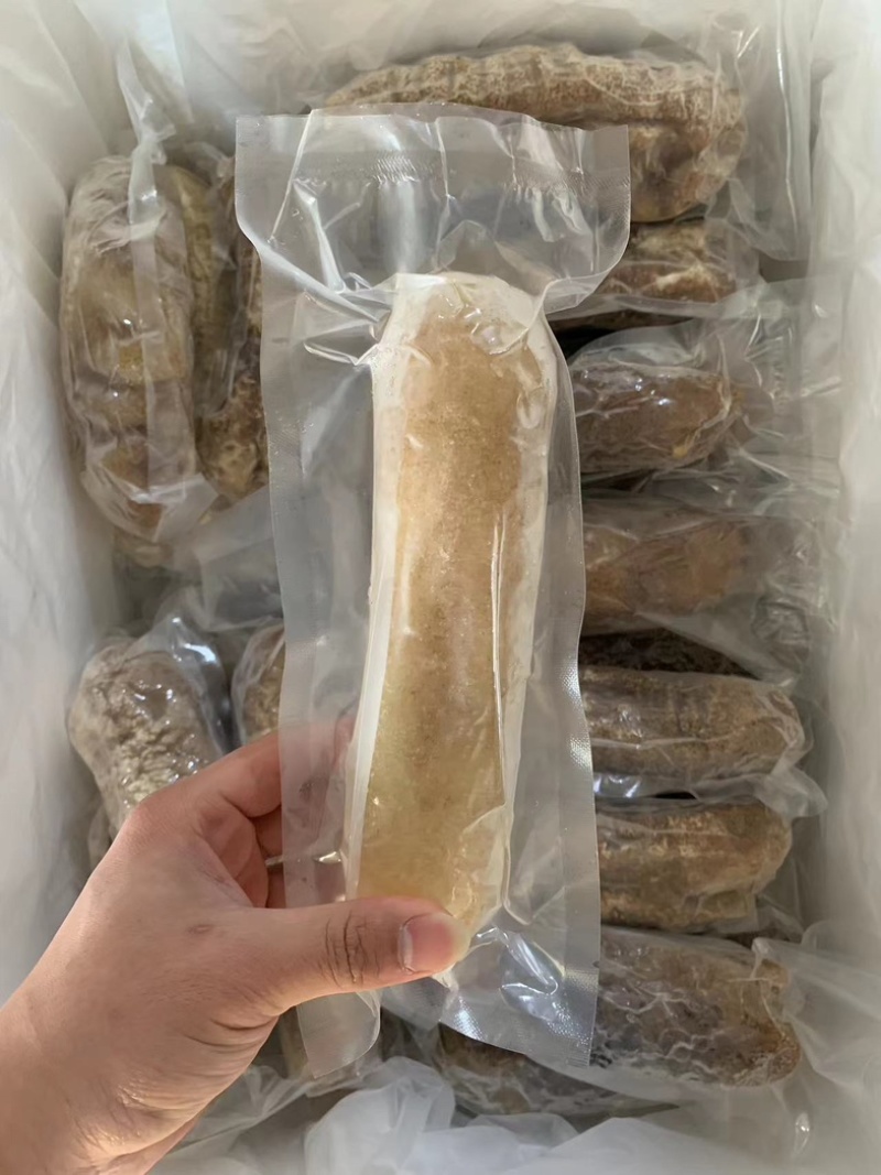 深海金沙参，福建广东发货，（高品质厚肉），支持定制加工