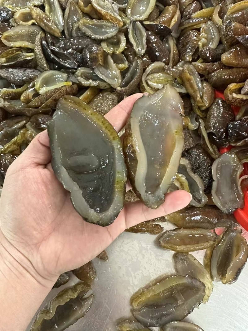 深海乌圆参【耐煮耐焖】，源头工厂发货，保质保量，欢迎来电