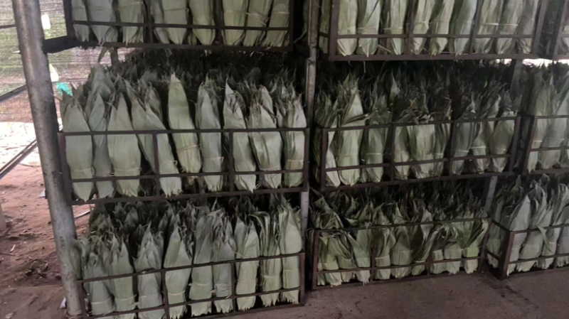长度33-45厘米粽叶长年大量供货，可供厂家，品质保证