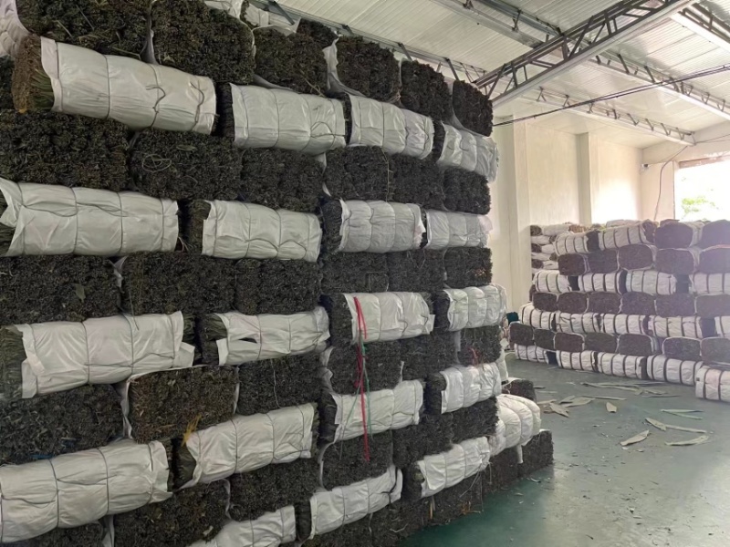 长度33-45厘米粽叶长年大量供货，可供厂家，品质保证