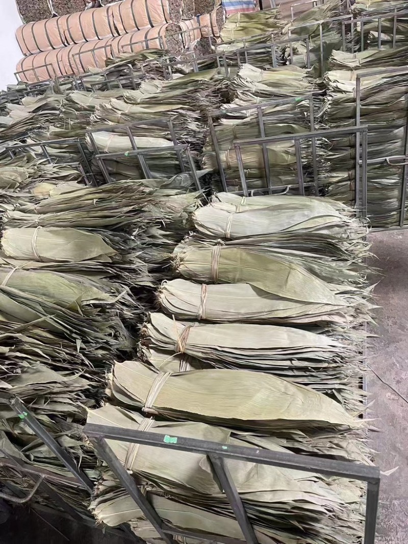 长度33-45厘米粽叶长年大量供货，可供厂家，品质保证