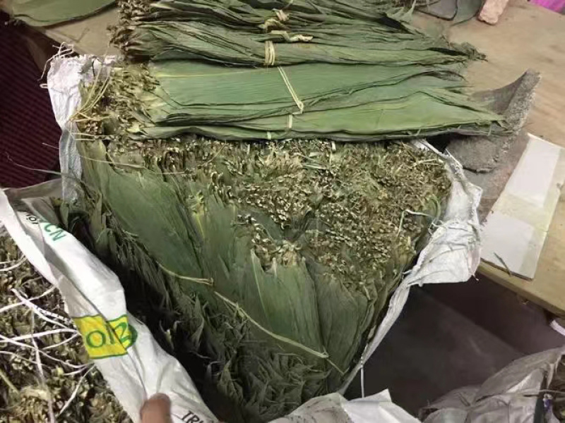 长度33-45厘米粽叶长年大量供货，可供厂家，品质保证
