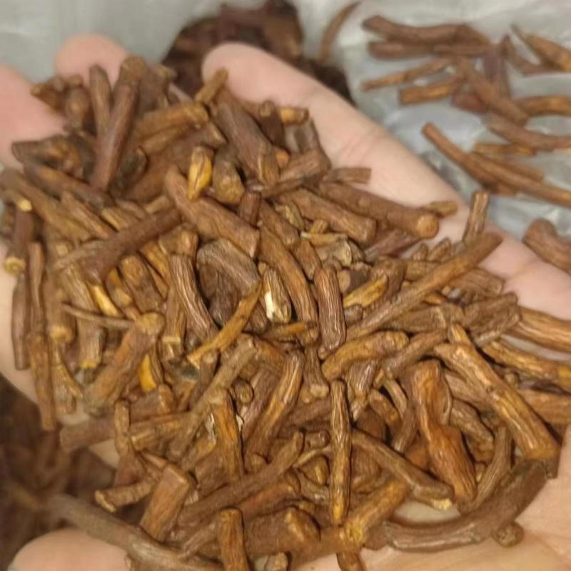 公英根，熟公英根，药食同源，一手货源，保质保量，批发各种