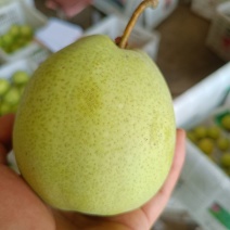 金花梨