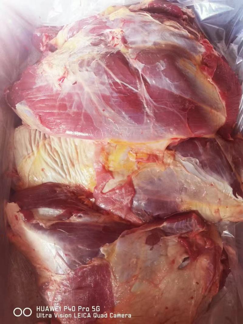 内蒙古呼伦贝尔大草原优质黄牛肉