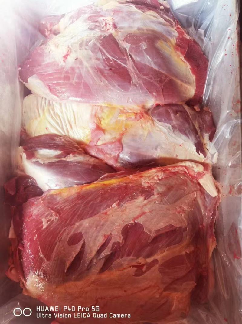 内蒙古呼伦贝尔大草原优质黄牛肉