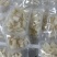 【热卖】优选珍珠胶，凤凰胶，自产自销，大量有货欢迎来电洽谈