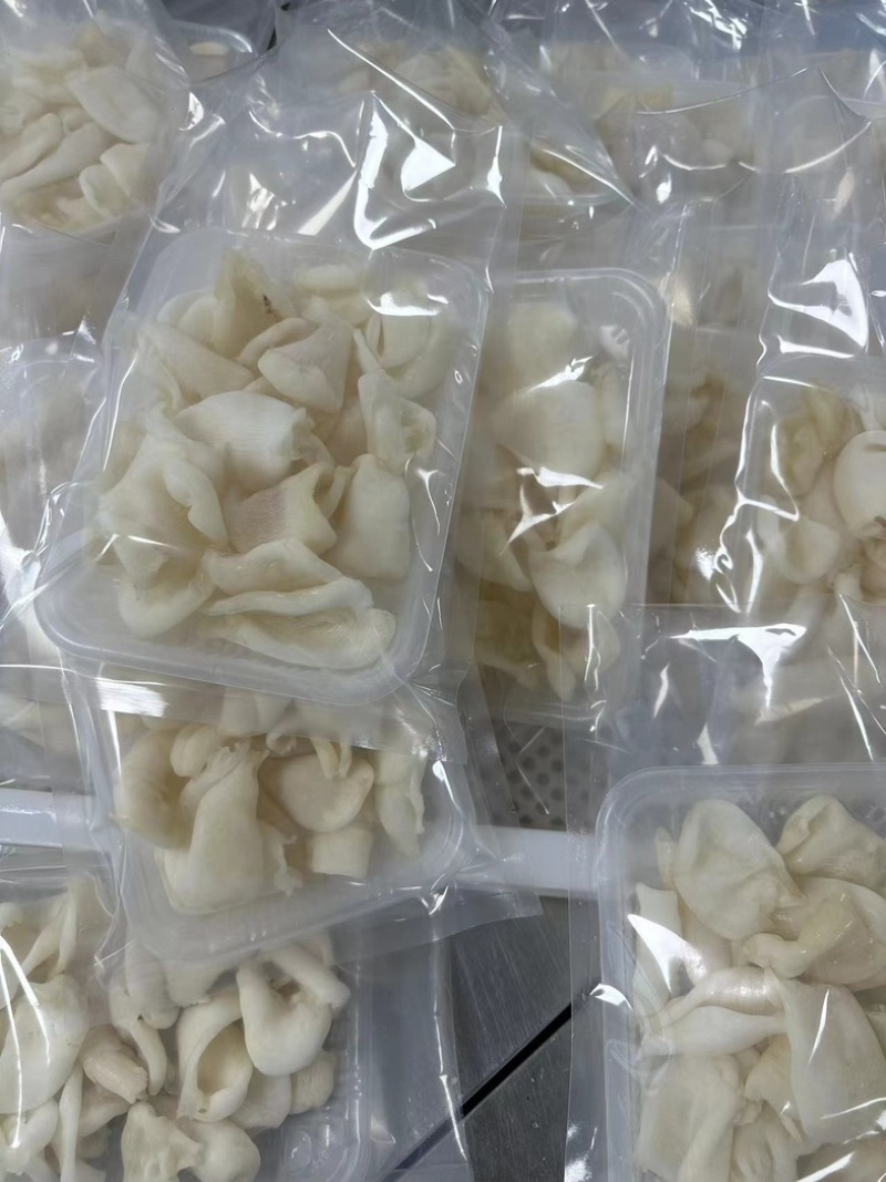 【热卖】优选珍珠胶，凤凰胶，自产自销，大量有货欢迎来电洽谈