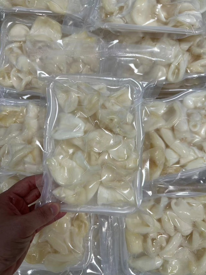 【热卖】优选珍珠胶，凤凰胶，自产自销，大量有货欢迎来电洽谈