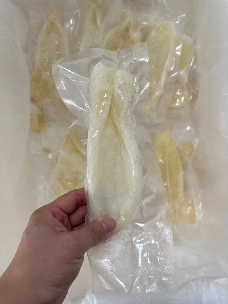 竹叶胶，鳖鱼肚。厂家直发，适合各大餐饮商超，质量保证