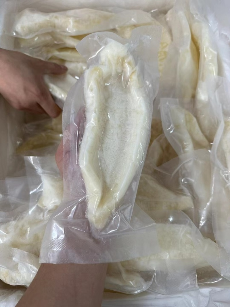 竹叶胶，鳖鱼肚。厂家直发，适合各大餐饮商超，质量保证