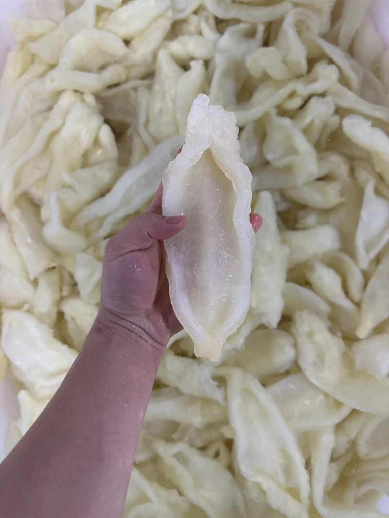 竹叶胶，鳖鱼肚。厂家直发，适合各大餐饮商超，质量保证