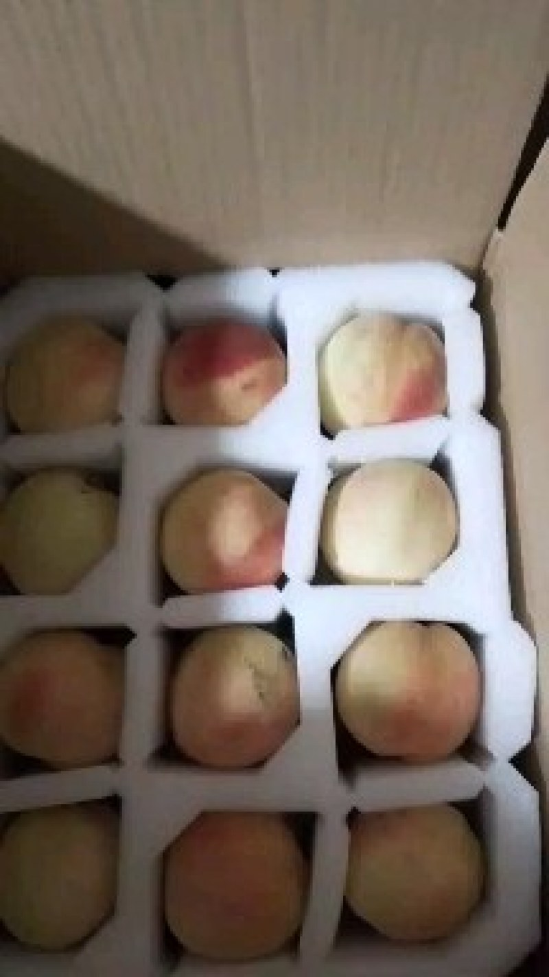 浙江奉化特产老品种水蜜桃