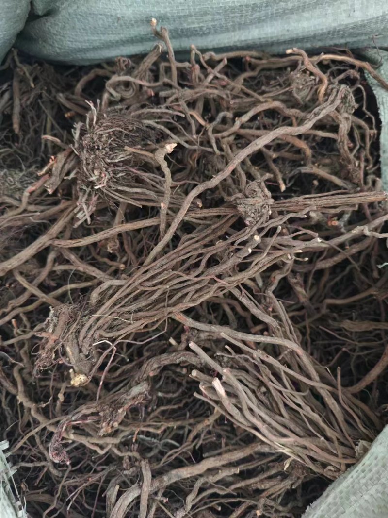中药材，茜草鸿茅根野生茜草，大量供应野生茜草鸿茅根