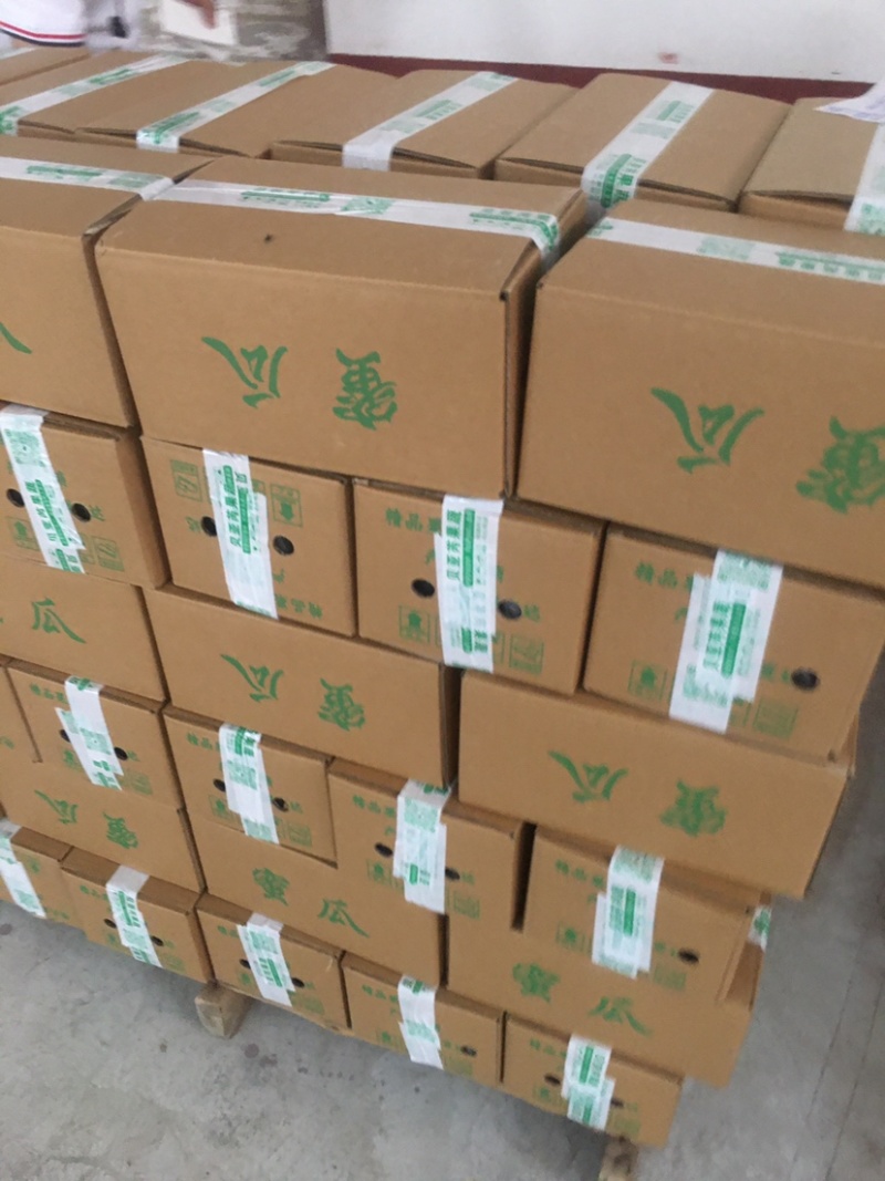【热卖】莘县冰淇淋玉菇甜瓜精品甜瓜保质诚信经营