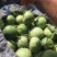 【热卖】莘县冰淇淋玉菇甜瓜精品甜瓜保质诚信经营