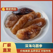 深海乌圆参【耐煮耐焖】，源头工厂发货，保质保量，欢迎来电