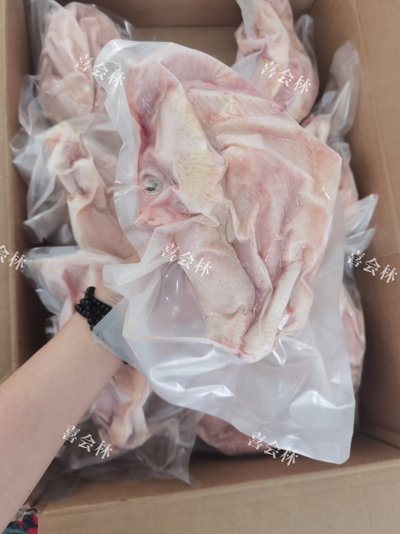 【推荐】山东沂蒙579小公鸡白条鸡诚信经营量大从优