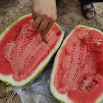 宁夏石头硒砂瓜精品西瓜欢迎各位老板预订货量春足