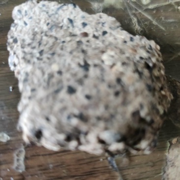 厂家直销篦麻饼，篦麻饼含有质高，保证质量