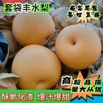 陕西汉中丰水梨纯甜化渣6两起步千亩货源大量供货