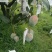 攀枝花凯特………………………………………………