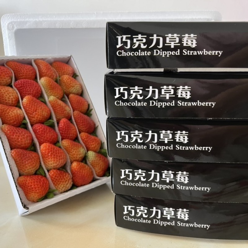 云南夏季红颜双流草莓烘培蛋糕奶茶商用口感酸甜