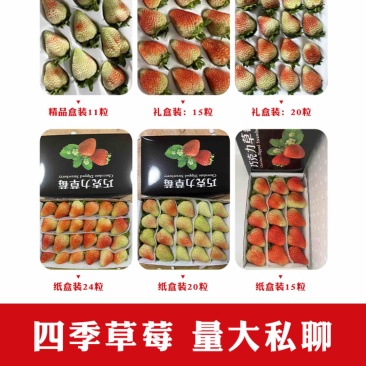 云南夏季红颜双流草莓烘培蛋糕奶茶商用口感酸甜