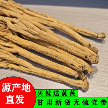 正宗甘肃陇西精品白条党参优选好货自然晾晒无硫无添加
