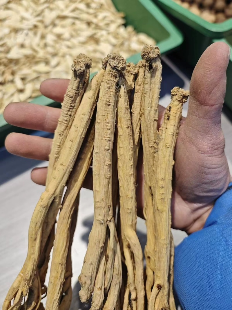 正宗甘肃陇西精品白条党参优选好货自然晾晒无硫无添加