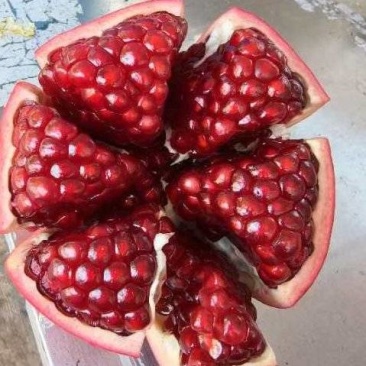 黑籽甜石榴