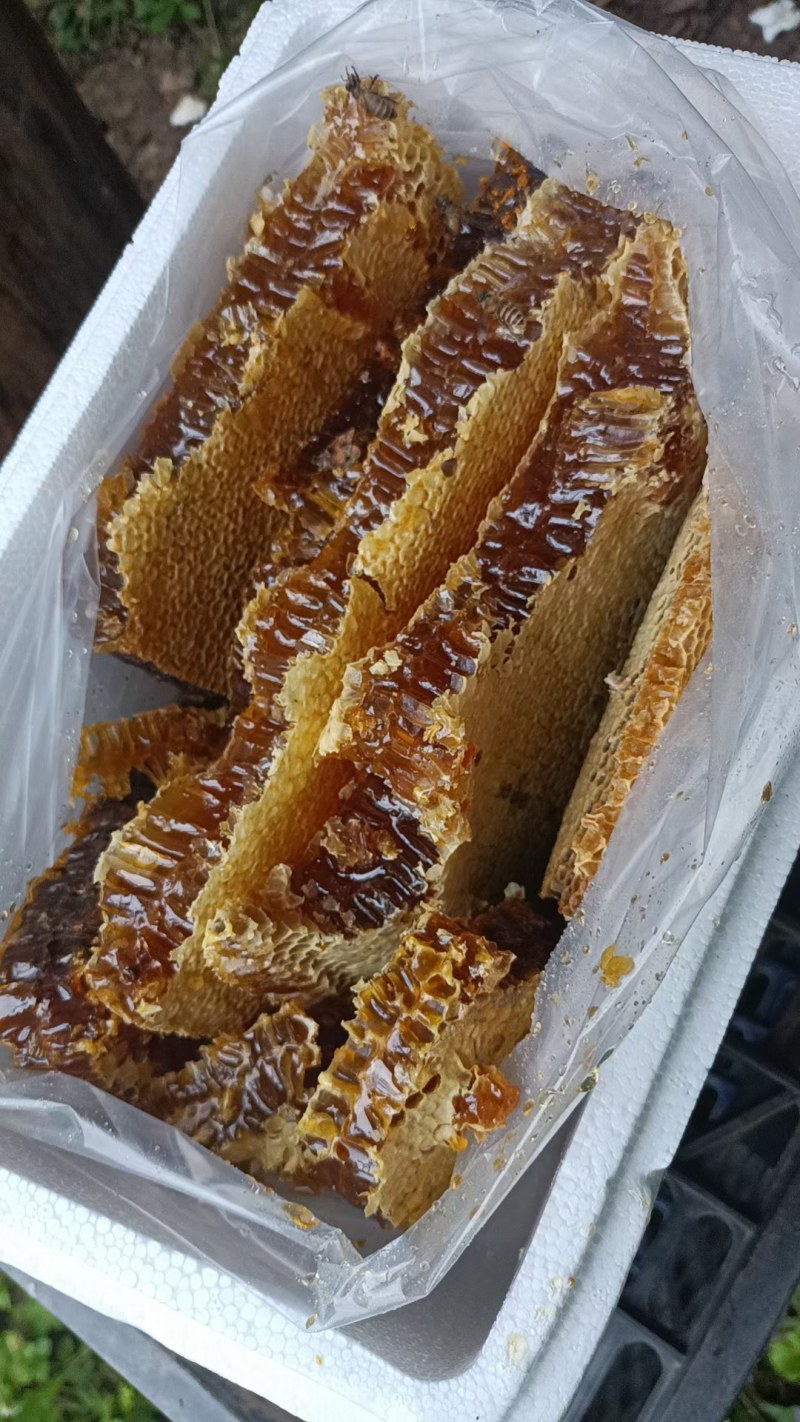 土蜂蜜