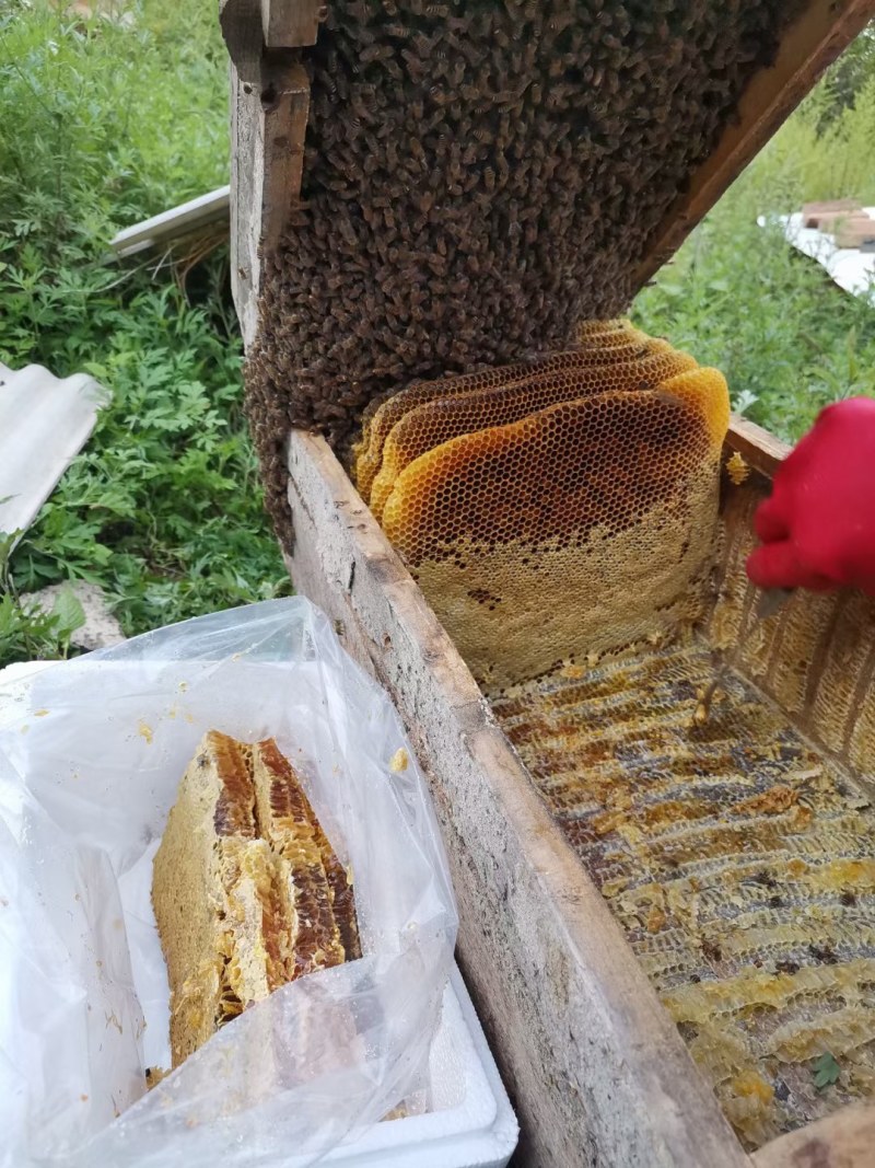 土蜂蜜