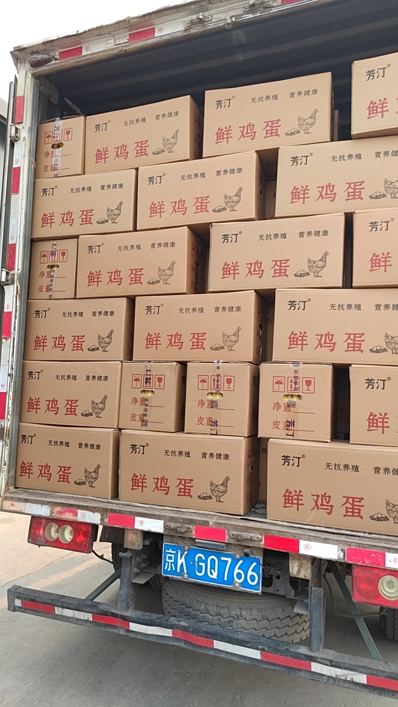 鸡蛋，粉壳单，绿壳蛋本公司常年销售粉壳，绿壳，全码数单色