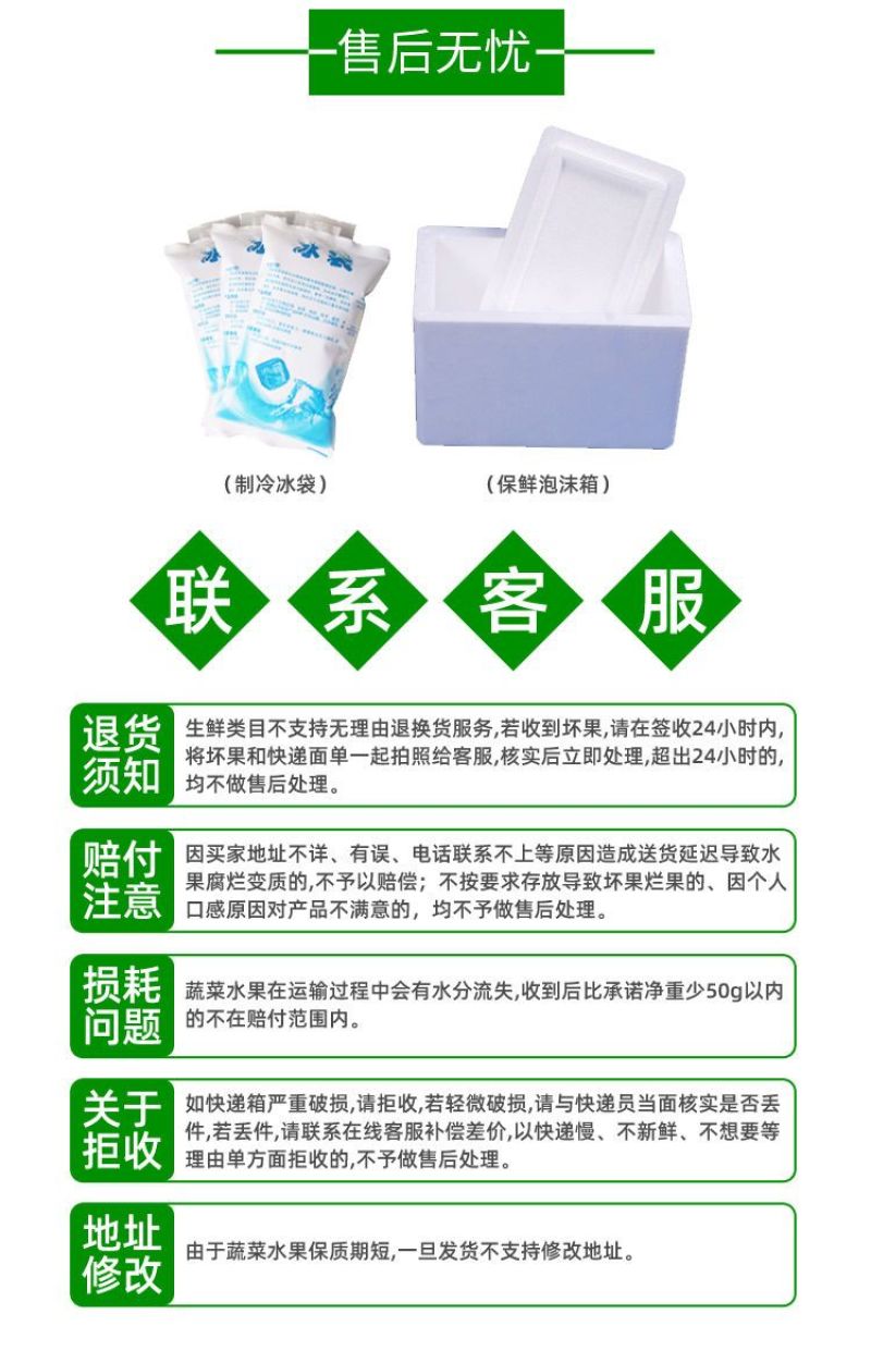 新鲜大叶甜罗勒叶食用披萨草意大利绿叶罗勒酱调料青酱西餐调