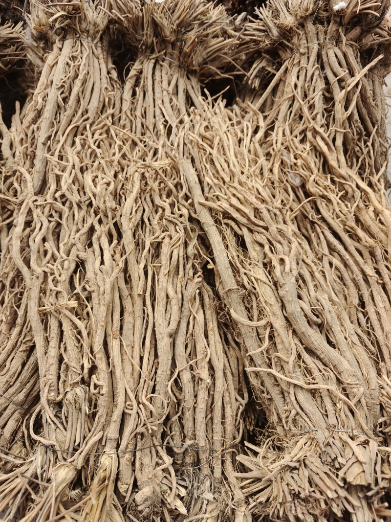 甘肃本地中药材，关防风个子，干度好，无硫