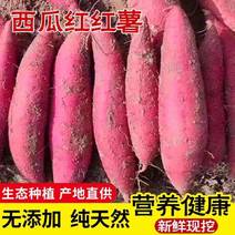 【西瓜红】沙地红薯大量供应粉糯香甜产地直发市场电商