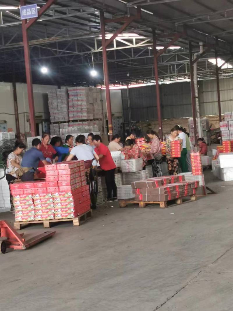 批发市场招送货工人在邛崃市工作的有不20巧5年5月