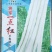 白豇豆种子将军一点红厚肉型红嘴白豇豆顺直匀称品质好