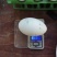三花鹅种蛋杂交鹅种蛋狮头种蛋灰鹅种蛋食用蛋