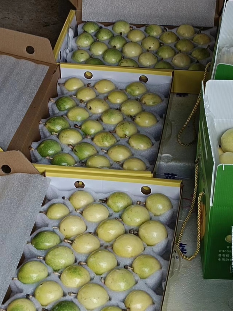 黄金百香果基地批发包邮品质保证欢迎来电诚信经营
