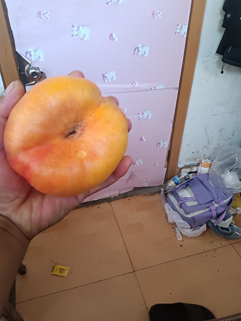油潘七号开始上市了，有需要的可以联系我了