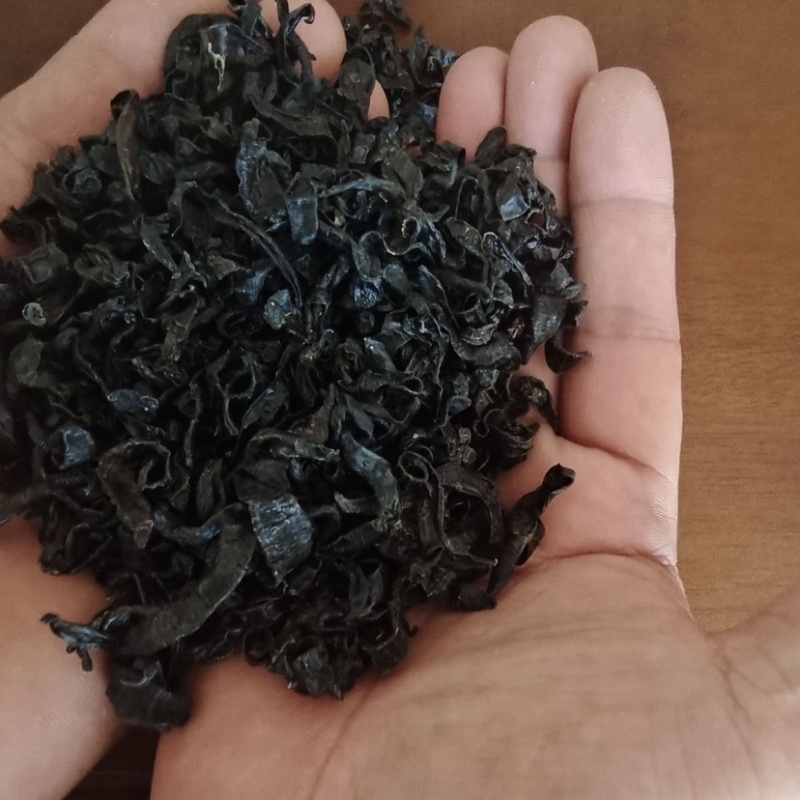 水蛭蚂蟥小水蛭中药材水蛭小水蛭干批发包邮