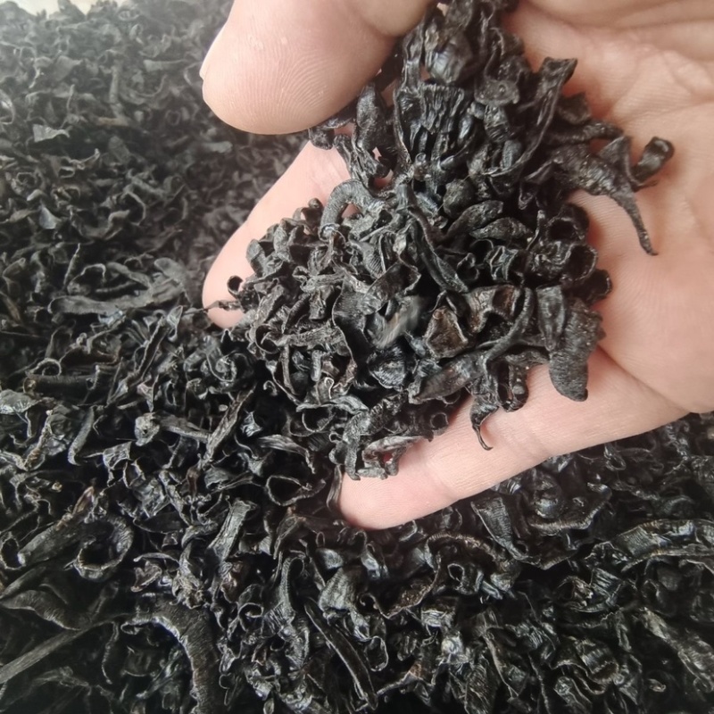 水蛭蚂蟥小水蛭中药材水蛭小水蛭干批发包邮