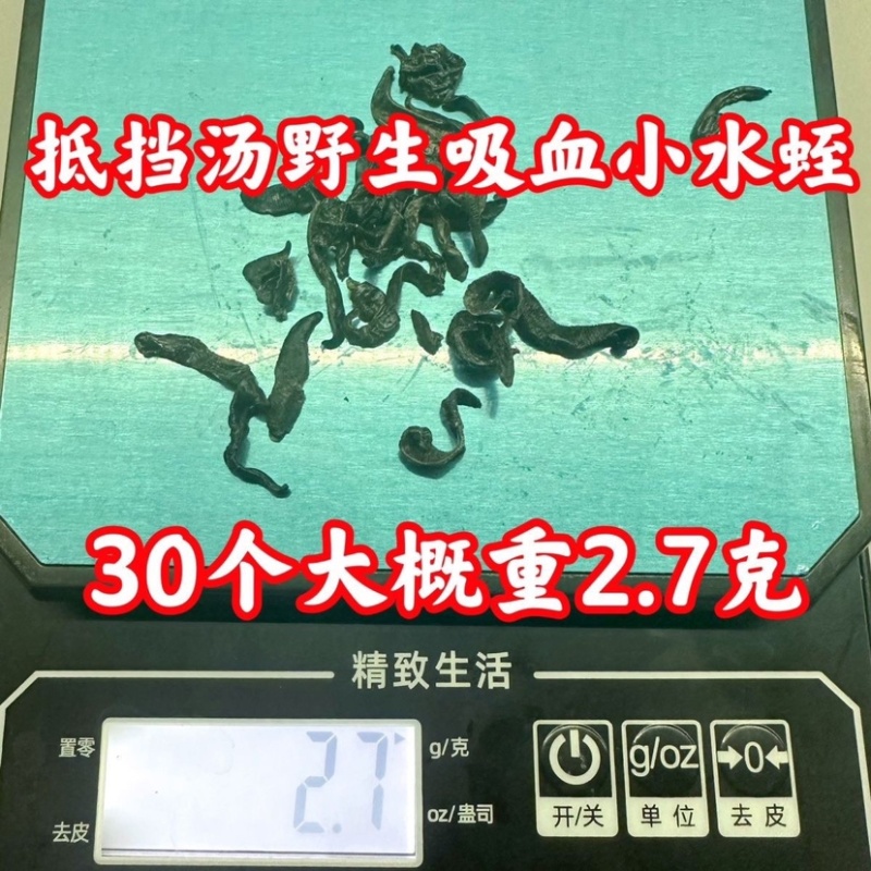 水蛭蚂蟥小水蛭中药材水蛭小水蛭干批发包邮