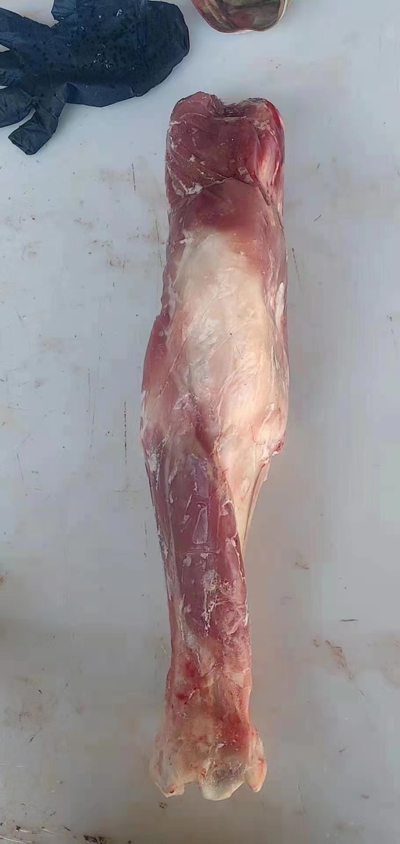 带毛乳牛头乳牛蹄可定做火烧水退牛头肉去骨牛蹄