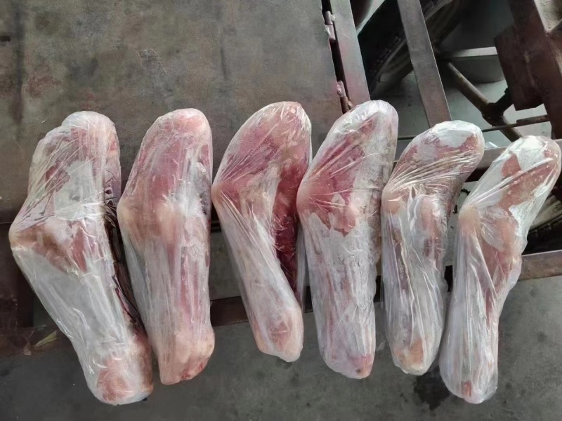 带毛乳牛头乳牛蹄可定做火烧水退牛头肉去骨牛蹄