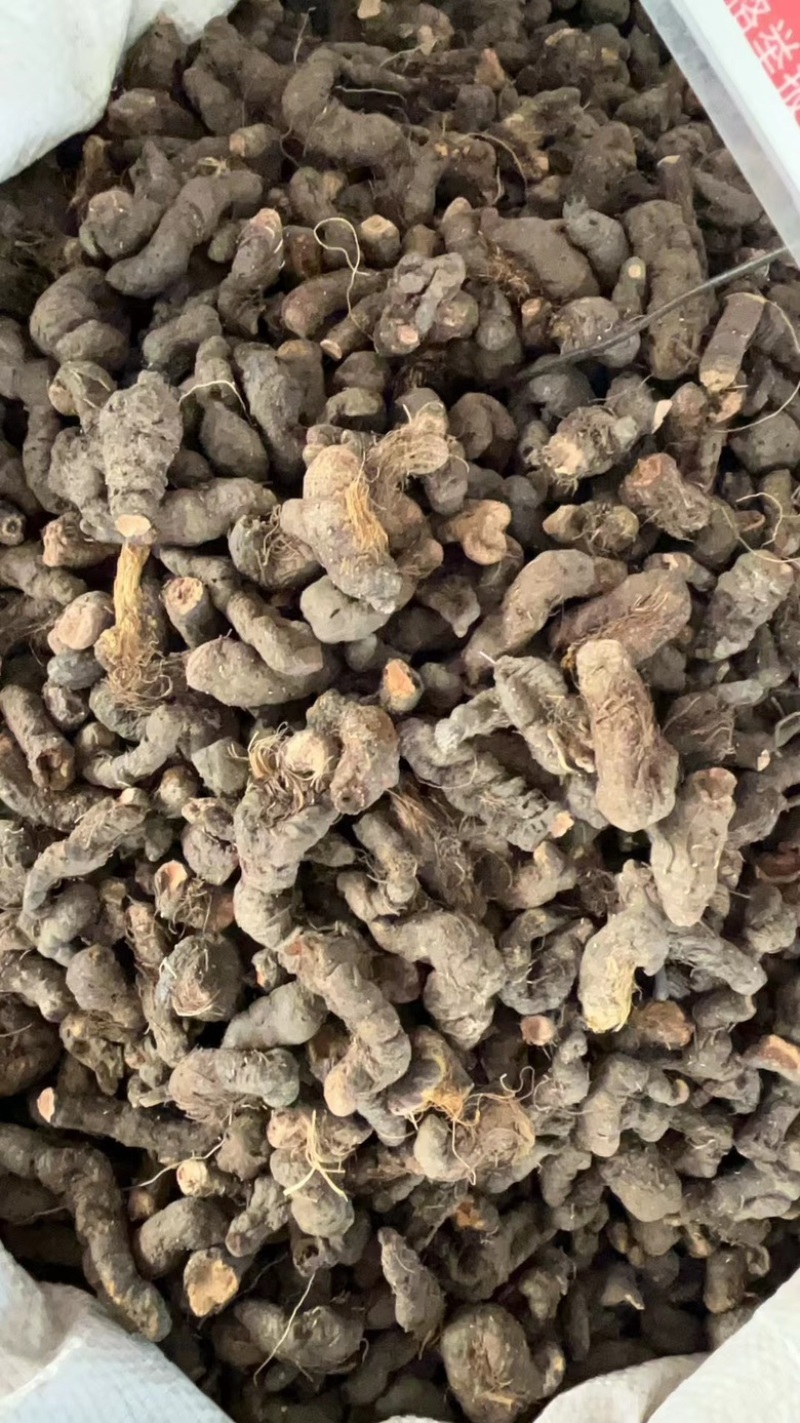 草河车个子切好
