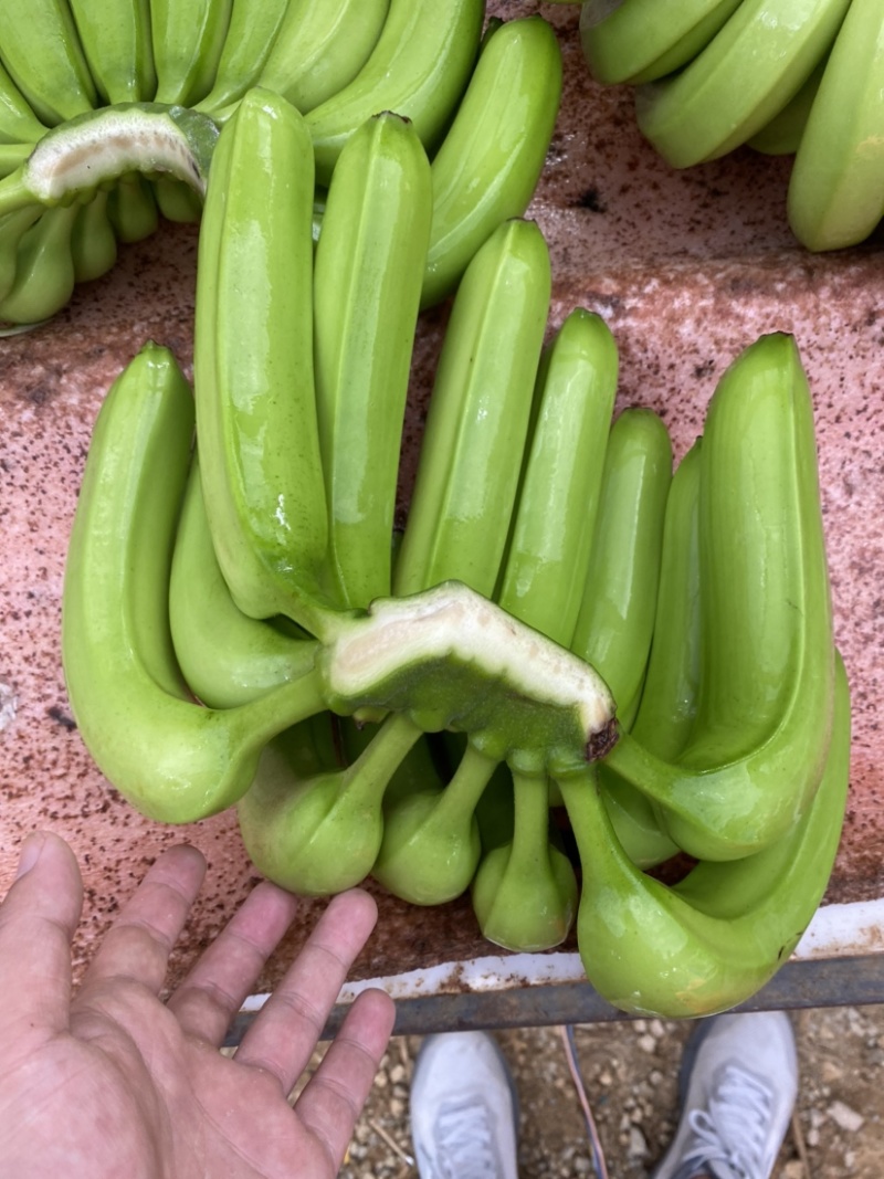 香蕉